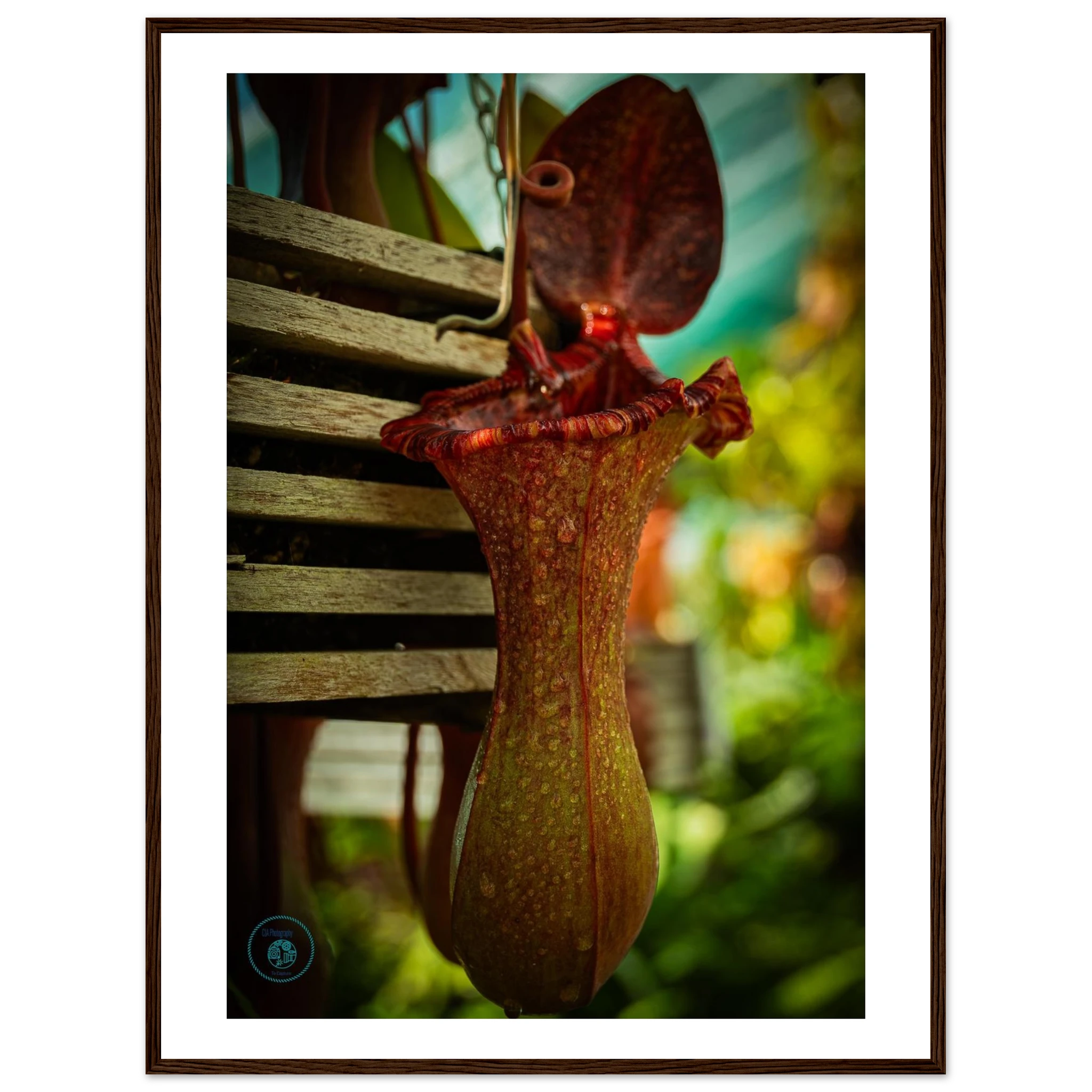 149f4265-2cad-429b-80c3-3eae37bb10bc