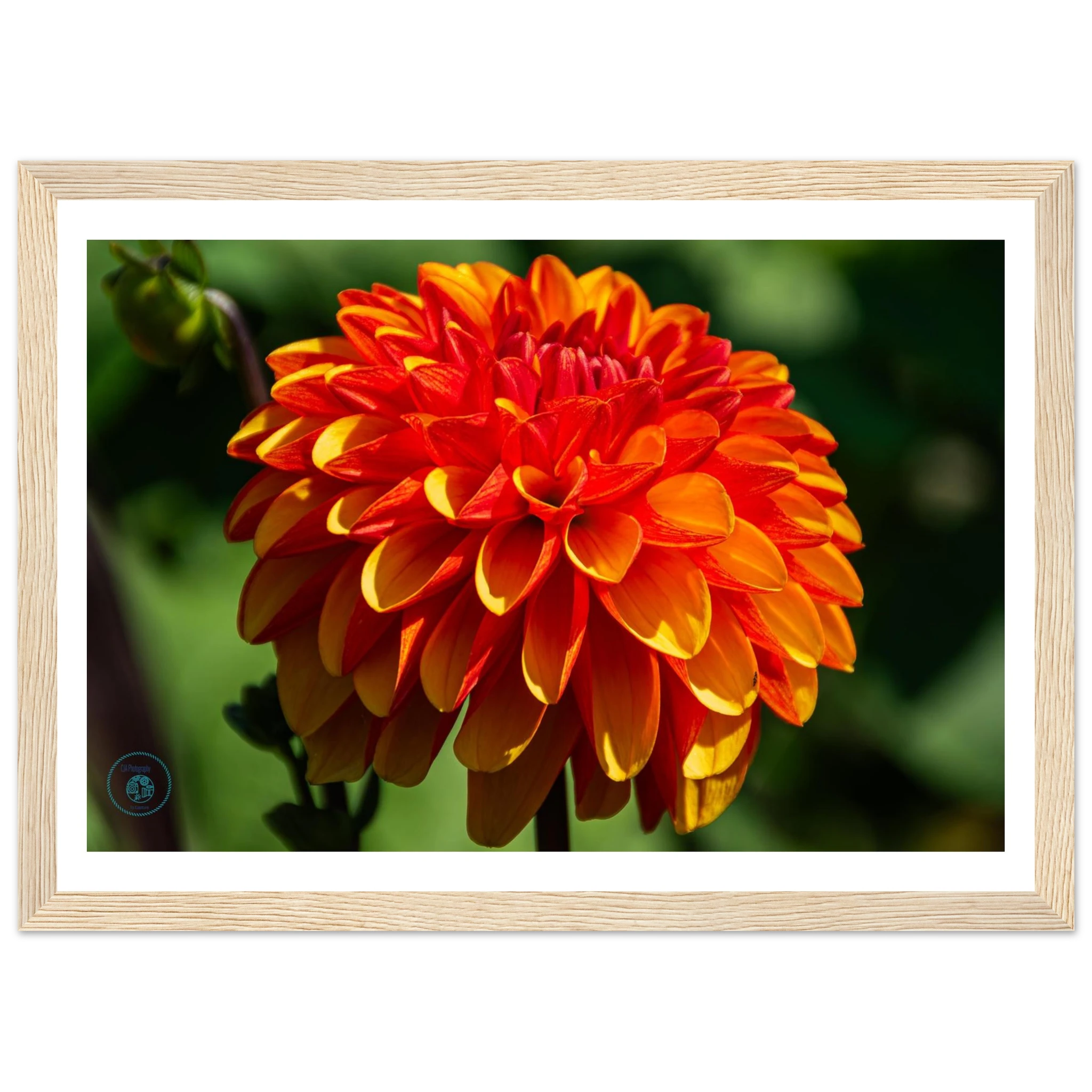 19c128f3-2ea4-473f-a273-76d5e61645cb