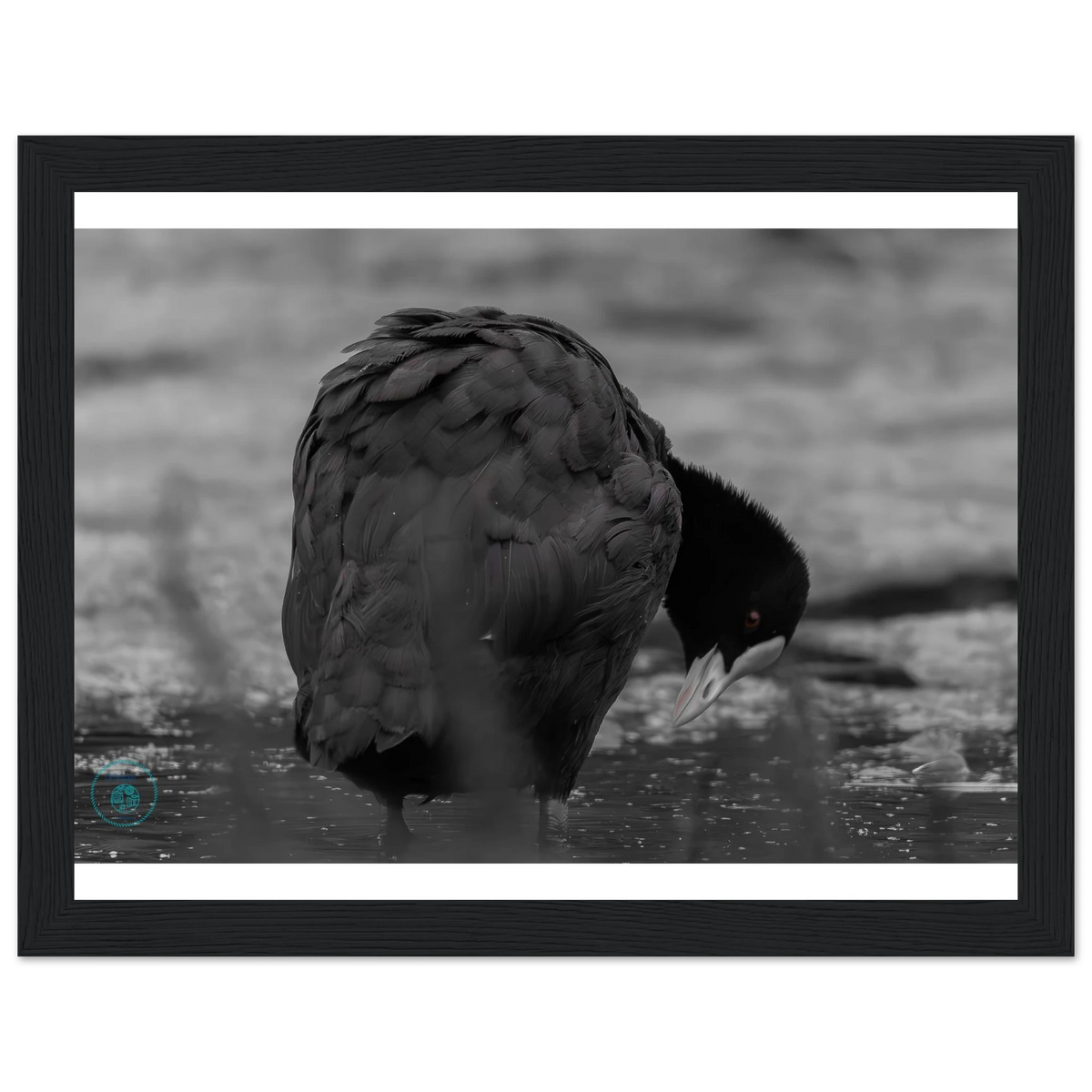 2271739c-2ce0-4a5d-b02b-6501710f428e