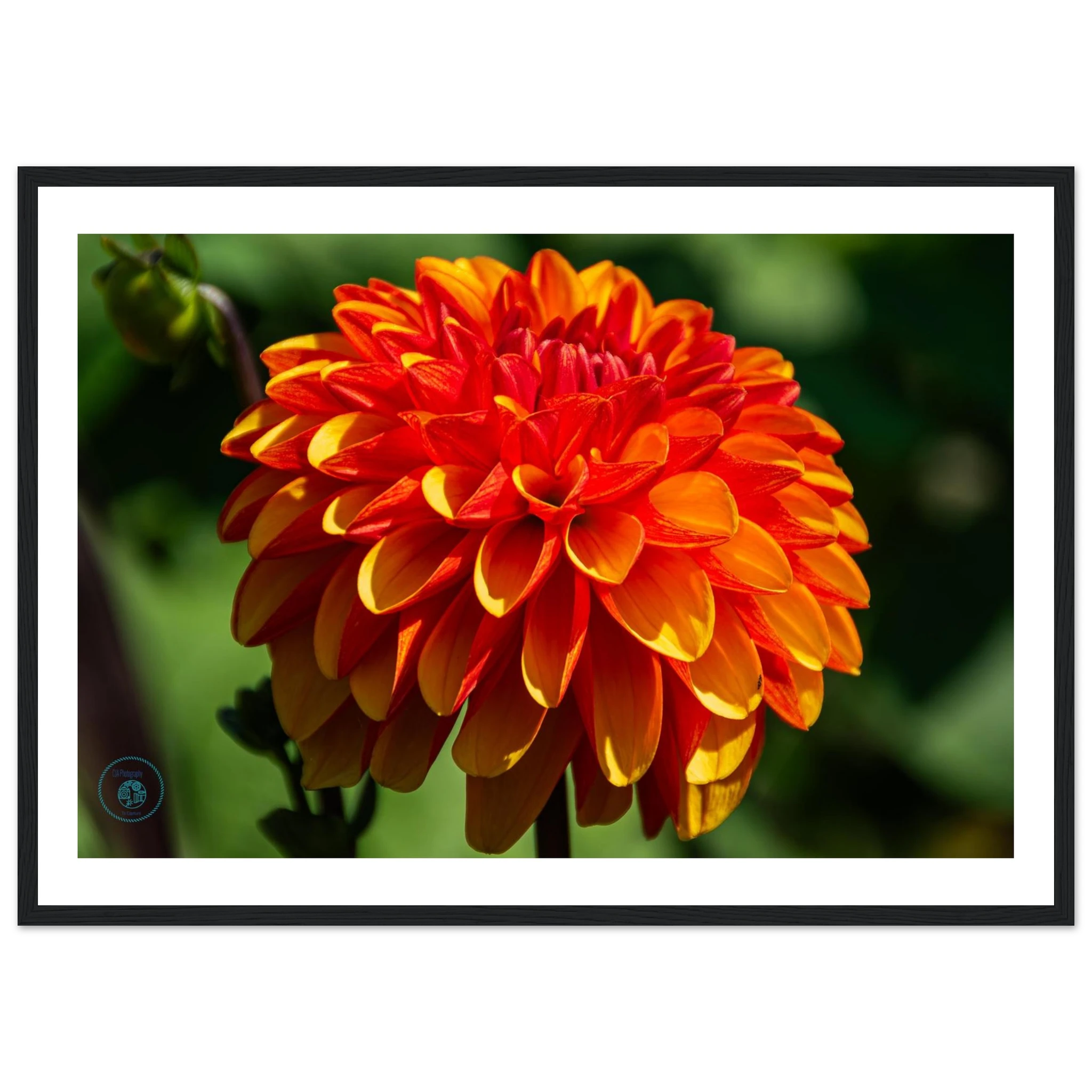 5ec24351-8a17-4296-a9e8-ee580c3f3f67