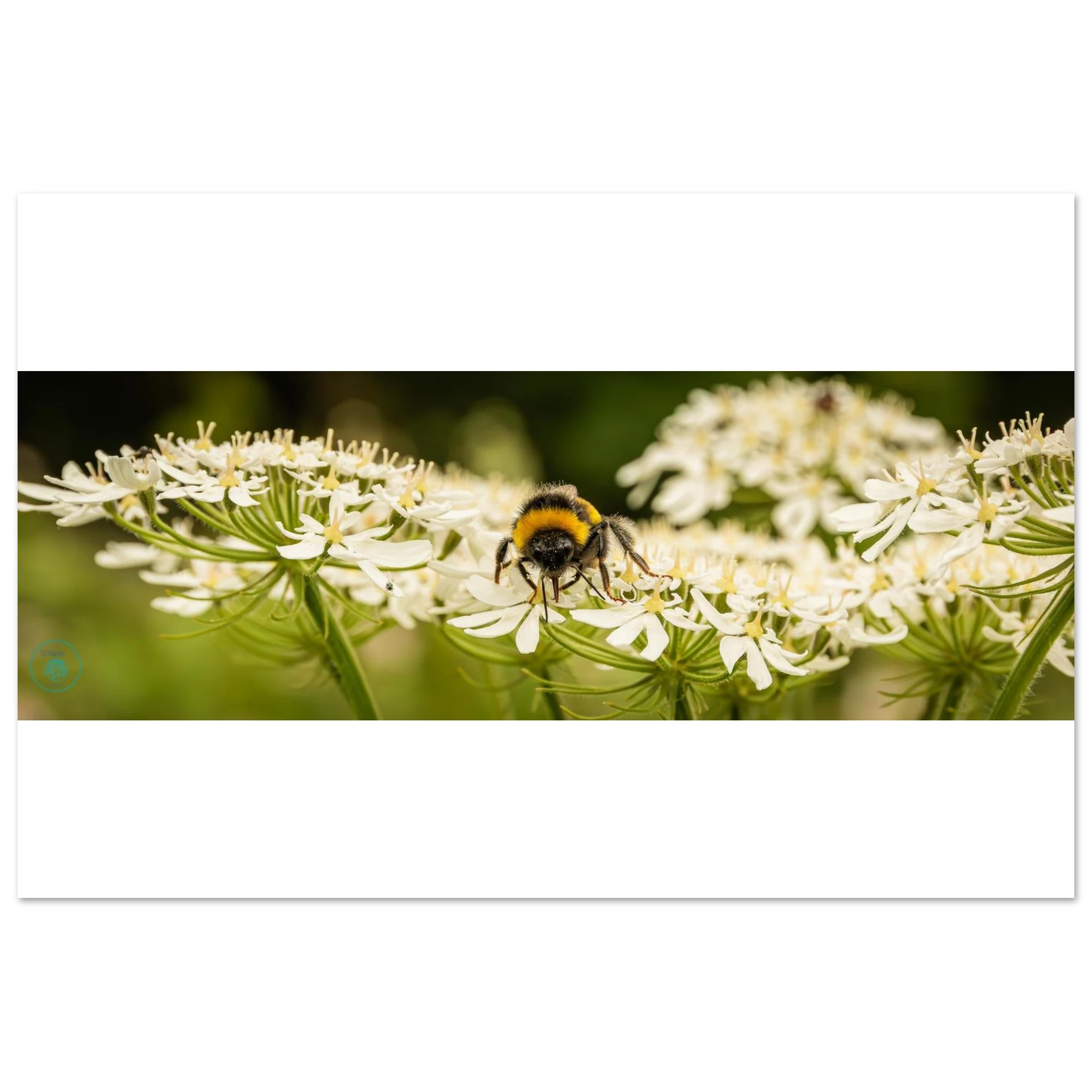bb0858bd-cb66-4c30-ad0f-c062a26644d1