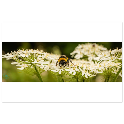bb0858bd-cb66-4c30-ad0f-c062a26644d1